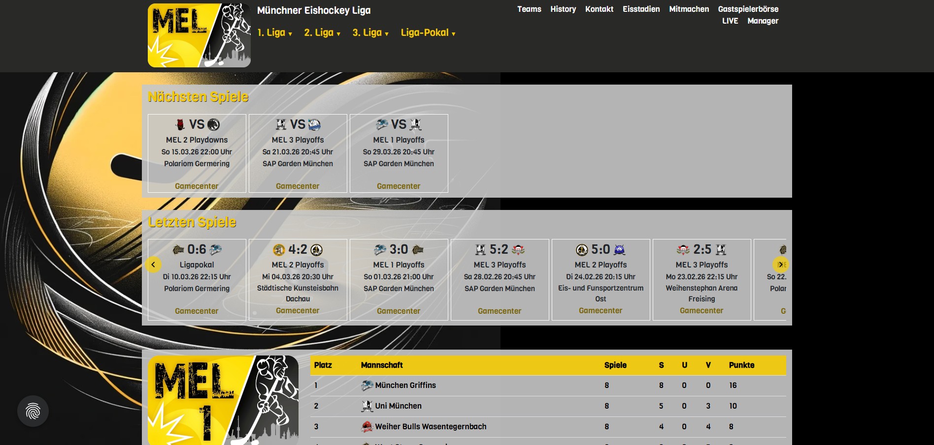 Münchner Eishockey Liga
